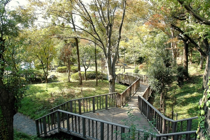 「みなみもと町公園」入り口のウッドデッキがお気に入りの風景