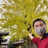 真っ黄色の銀杏の大木が美しい「加古川城跡の称名寺」にいってまいりました～！！