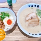 濃厚な旨味たっぷり！こだわり豚骨ラーメン『みやざきラーメン　ゼロイチ』【宮崎市エリア】