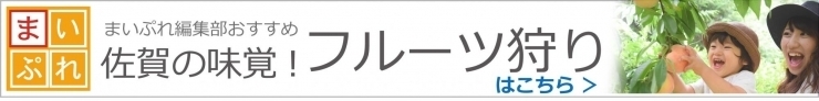 佐賀のフルーツ狩り特集