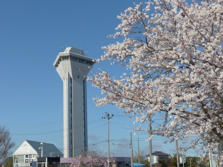 道の駅たまつくり駐車場から見える、行方市のシンボルタワー「虹の塔」