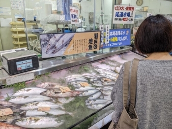 瀬戸内、山陰を中心に新鮮な魚がずらり。<br>火曜日と金曜日は尾道市場より鮮魚が届きます。