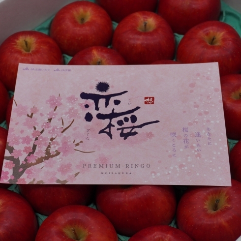 「「桜の咲く時期に食べる甘いりんご」 岩手県産　「恋桜(奥州ロマン)」」