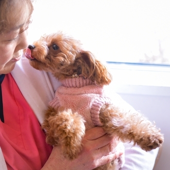 ワンちゃんや猫ちゃんと、しっかりと向き合います。「マリーナ 街の動物病院」