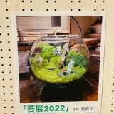 「苔展2022 in加古川」がびぃぷらすで開催されました～♪