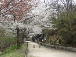 いきものふれあいセンター前「交野市 いきものふれあいセンター」