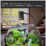 びぃぷらすで【苔展2023】が開催！！「苔テラリウム」のワークショップも実施されます！！