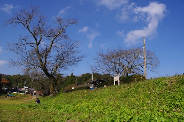 それにしても気持ちのよい場所です！<br>（ホームの反対側の田んぼのあぜ道からの写真）