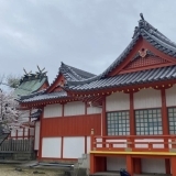 【加古川桜スポット2024】桜が咲き誇る「粟津天満神社」を取材してまいりました～！