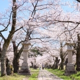 悠久山公園