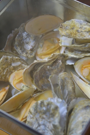 厚岸直送の牡蠣は生はもちろんガンガン焼きも人気です「マルカツ小樽水産」