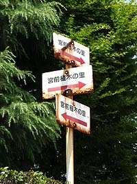 宮前植木の里への<br>標示板が立つ三田橋交差点<br>