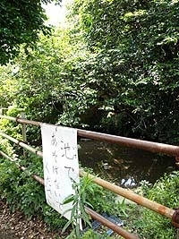 和田八幡宮の池。<br>池の主が棲んでいるかも！？<br>