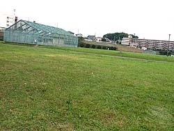 西長沢公園。<br>まわりの丘に<br>家々が連なる眺めが壮観<br>