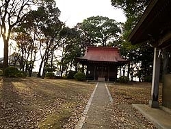 保存樹林に囲まれた長尾神社。<br>ここで的祭が行われる<br>