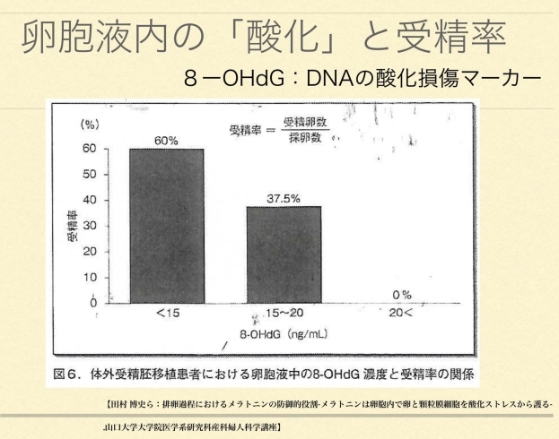 「酸化を抑える事が「胚盤胞」を成長させる」