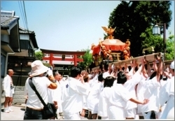 神幸祭「梅宮大社 （うめのみやたいしゃ）」