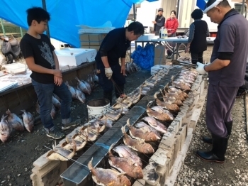 年末の風物詩、焼鯛の様子「株式会社魚里本家」