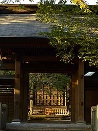 川崎最古のお寺、影向寺。<br>山門の横のケヤキが<br>色づき始めていました<br>