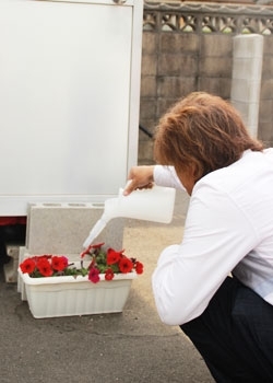 お花の水やりも欠かさない心優しい店主です♪「KOP STAND」