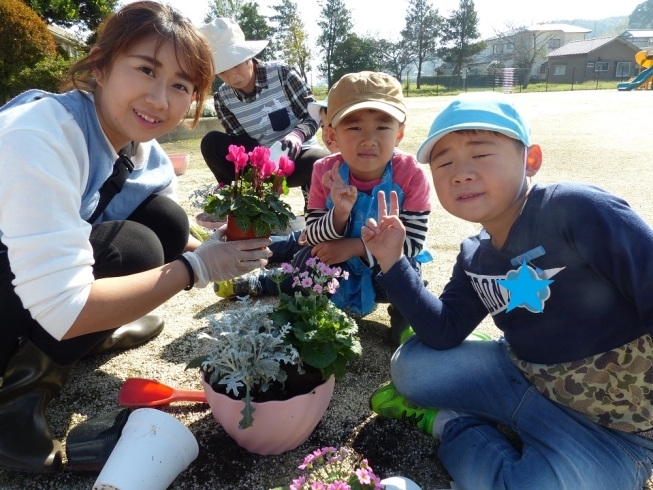 ミニシクラメンを植えたら出来上がり！「親子で寄せ植え体験！　～行方市立北浦幼稚園～」