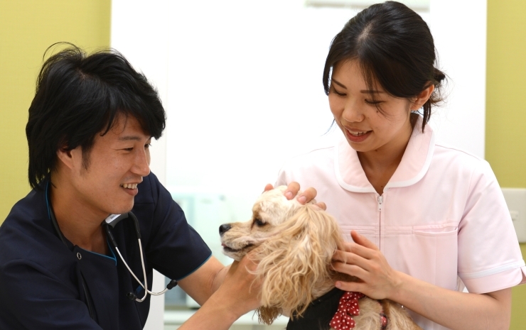 「おくやま動物病院」当院のコンセプトは大事な皆様のペットの一生に寄り添うことです