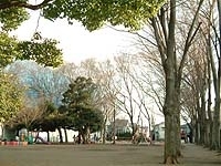 野川第4公園