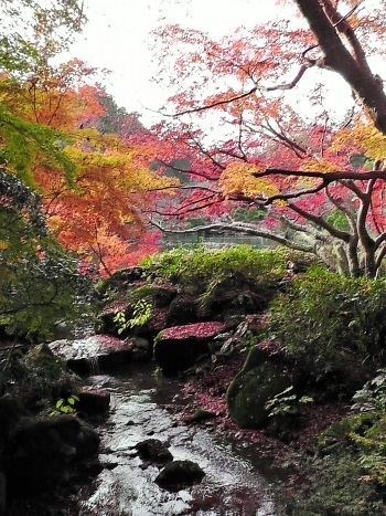 成田山公園紅葉まつり