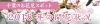 千葉の桜! 2018年開花状況(2018年3月30日~31日)