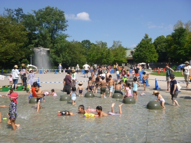 青葉の森公園　水の広場