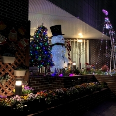 山口病院（西船橋駅徒歩5分）の前に今年もクリスマスイルミネーションが出現！