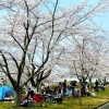 八戸公園(こどもの国)