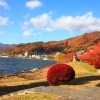 【紅葉スポット】 諏訪市 湖畔公園