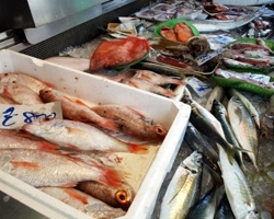 地元の旬な鮮魚がずらり♪「松江鮮魚店」