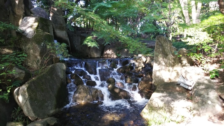 徳川園「徳川園に行ってきました   春日井市民ミズマサの子育て日記」