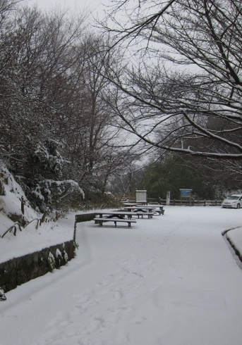 「きょうの雪」