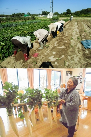 家庭菜園で収穫した野菜を皆さんでいただきます。「グループホーム加治川の里」