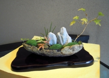 和菓子の素材で作った盆栽（非売品）
店にディスプレイしています「手造りのお菓子 お喜奈」