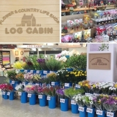 FLOWER & COUNTRY LIFE SHOP LOG CABIN（コスモ21）