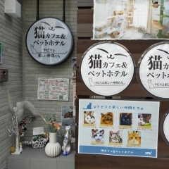 【新店舗】寝屋川市寿町★ラピスと楽しい仲間たち Café&Hotel 2025年1月19日オープン!!