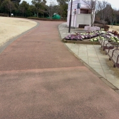 花島公園のジョギングコース