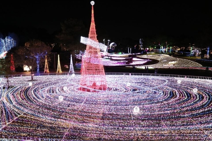 「ご家族やご友人とのグループでのクリスマス会におすすめ！」