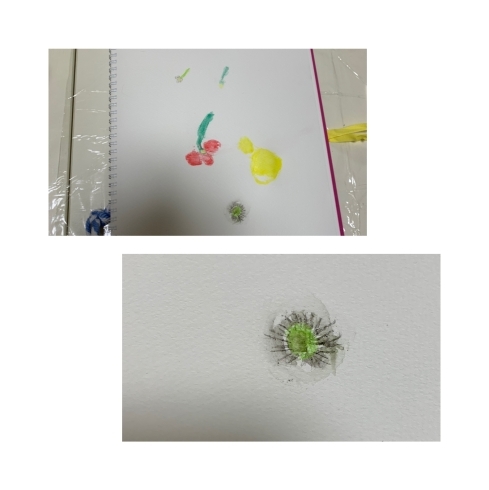 お外で描いた植物。綿毛の表現がすてき✨✨「子ども　美術教室　造形教室　八千代　勝田台　3月　『時計作り』&『春のくさばなかんさつ』」