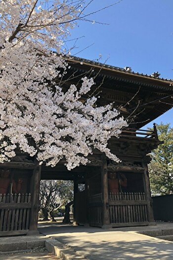 勝願寺