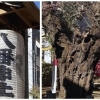 下高井戸八幡神社