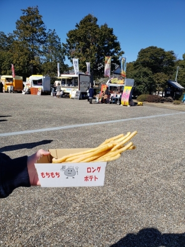 ロングポテトを買ってしまった(笑)「風ニモマケズ…　」