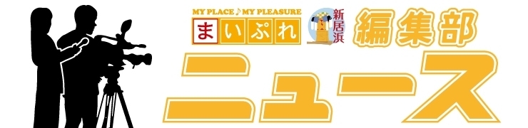 新居浜橋巡り Vol.3 新種子川橋