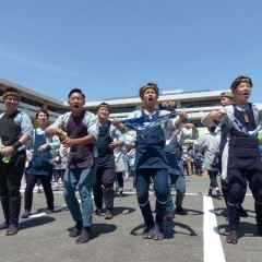 茨城県行方市市制20周年記念 山車祝曳きが開催されました!