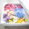 ペット棺とお見送り花「虹色フラワーボックス」ほほえみセット