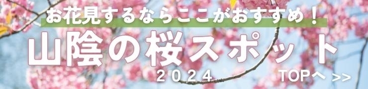 花見にオススメ！山陰（島根・鳥取）の桜スポットTOP